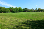Faringdon Park